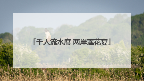 千人流水席 两岸莲花宴
