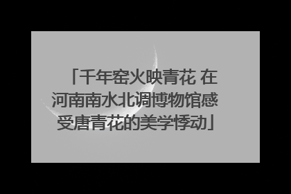 千年窑火映青花 在河南南水北调博物馆感受唐青花的美学悸动