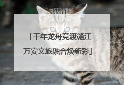 千年龙舟竞渡赣江 万安文旅融合焕新彩