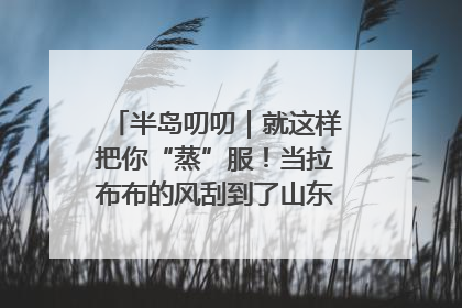 半岛叨叨｜就这样把你“蒸”服！当拉布布的风刮到了山东馒头界……
