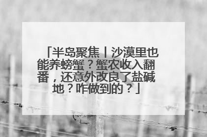 半岛聚焦丨沙漠里也能养螃蟹？蟹农收入翻番，还意外改良了盐碱地？咋做到的？