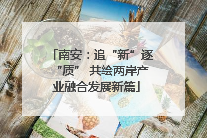 南安：追“新”逐“质” 共绘两岸产业融合发展新篇