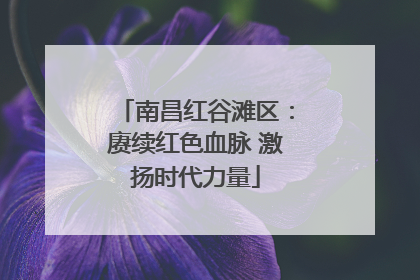 南昌红谷滩区：赓续红色血脉 激扬时代力量
