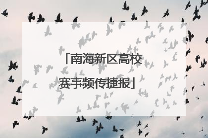 南海新区高校赛事频传捷报