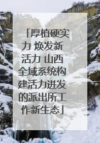 厚植硬实力 焕发新活力 山西全域系统构建活力迸发的派出所工作新生态