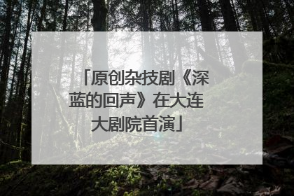 原创杂技剧《深蓝的回声》在大连大剧院首演