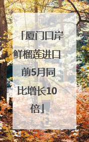 厦门口岸鲜榴莲进口 前5月同比增长10倍