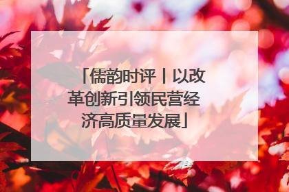 儒韵时评丨以改革创新引领民营经济高质量发展