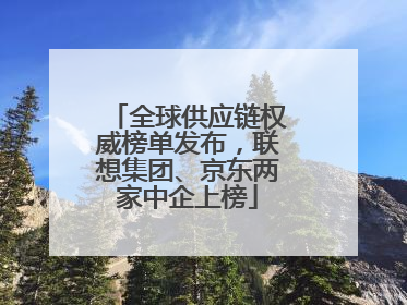 全球供应链权威榜单发布，联想集团、京东两家中企上榜