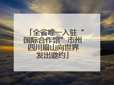 全省唯一入驻“国际合作馆”市州 四川眉山向世界发出邀约