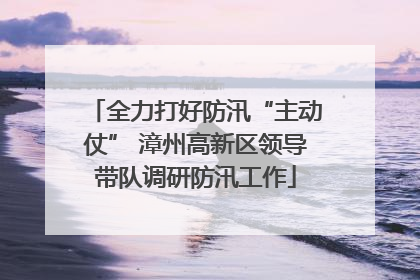 全力打好防汛“主动仗” 漳州高新区领导带队调研防汛工作