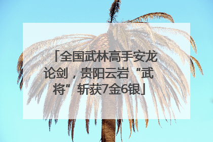 全国武林高手安龙论剑，贵阳云岩“武将”斩获7金6银