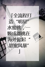 全流程打造“明星”水蜜桃，一颗成都桃在海外掀起“甜蜜风暴”