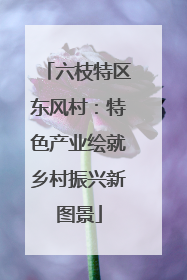 六枝特区东风村：特色产业绘就乡村振兴新图景