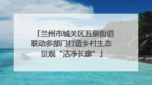 兰州市城关区五泉街道联动多部门打造乡村生态景观“洁净长廊”