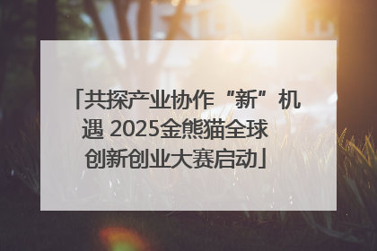 共探产业协作“新”机遇 2025金熊猫全球创新创业大赛启动
