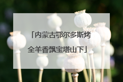 内蒙古鄂尔多斯烤全羊香飘宝塔山下