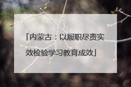 内蒙古：以履职尽责实效检验学习教育成效