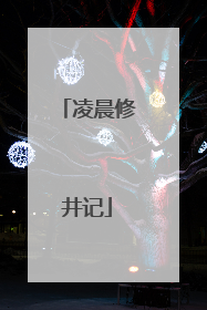 凌晨修井记