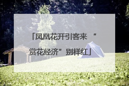 凤凰花开引客来 “赏花经济”别样红