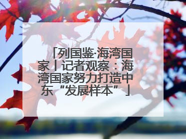 列国鉴·海湾国家丨记者观察：海湾国家努力打造中东“发展样本”