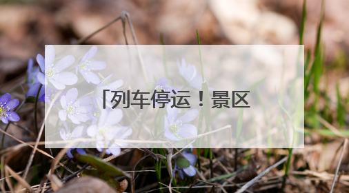 列车停运！景区关闭！福建迎今年范围最广暴雨