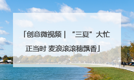 创意微视频｜“三夏”大忙正当时 麦浪滚滚穗飘香