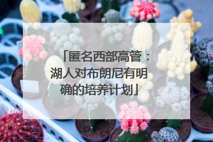 匿名西部高管：湖人对布朗尼有明确的培养计划