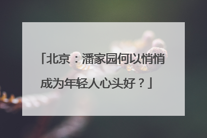 北京：潘家园何以悄悄成为年轻人心头好？