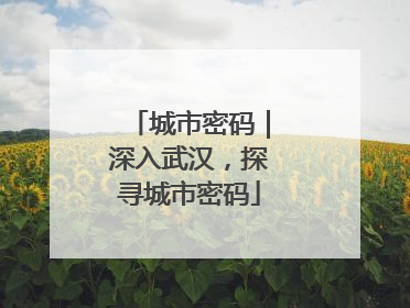 城市密码｜深入武汉，探寻城市密码