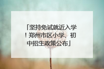 坚持免试就近入学！郑州市区小学、初中招生政策公布