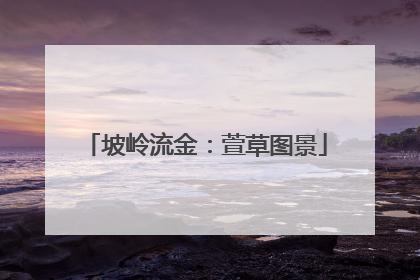 坡岭流金：萱草图景