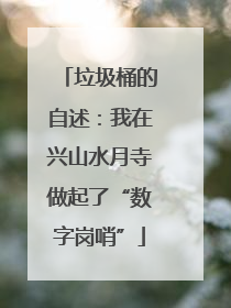 垃圾桶的自述：我在兴山水月寺做起了“数字岗哨”
