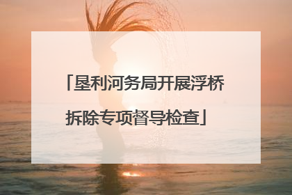 垦利河务局开展浮桥拆除专项督导检查