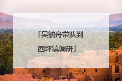 吴毓舟带队到西坪镇调研