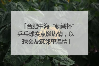 合肥中海“领潮杯”乒乓球赛点燃热情，以球会友筑邻里温情