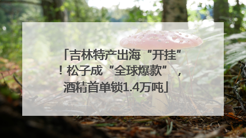 吉林特产出海“开挂”！松子成“全球爆款”，酒精首单锁1.4万吨
