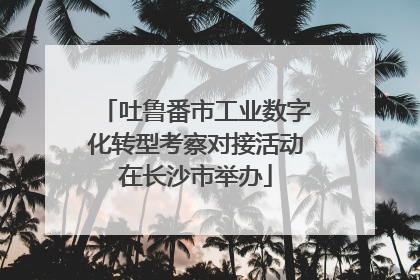 吐鲁番市工业数字化转型考察对接活动在长沙市举办