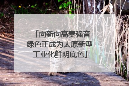 向新向高奏强音 绿色正成为太原新型工业化鲜明底色