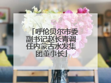 呼伦贝尔市委副书记赵长青调任内蒙古水发集团董事长