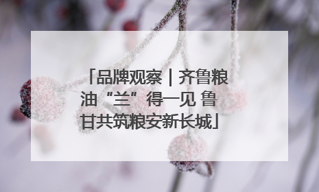 品牌观察｜齐鲁粮油“兰”得一见 鲁甘共筑粮安新长城