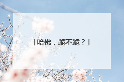 哈佛，跪不跪？