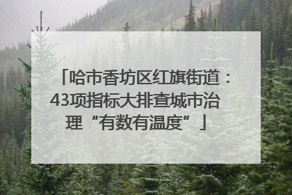 哈市香坊区红旗街道：43项指标大排查城市治理“有数有温度”