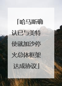 哈马斯确认已与美特使就加沙停火总体框架达成协议