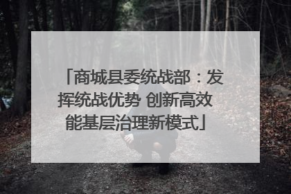 商城县委统战部：发挥统战优势 创新高效能基层治理新模式