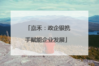 嘉禾：政企银携手赋能企业发展