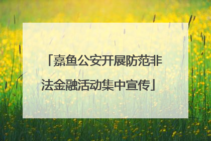嘉鱼公安开展防范非法金融活动集中宣传