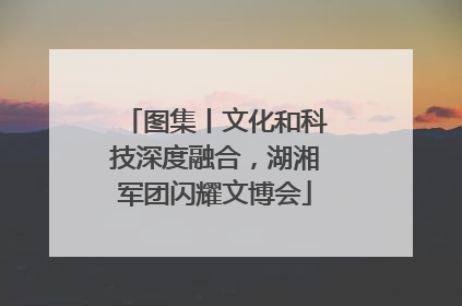 图集丨文化和科技深度融合，湖湘军团闪耀文博会