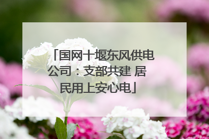 国网十堰东风供电公司：支部共建 居民用上安心电