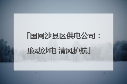 国网沙县区供电公司：廉动沙电 清风护航